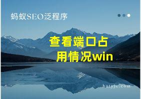 查看端口占用情况win