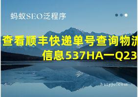 查看顺丰快递单号查询物流信息537HA一Q23A