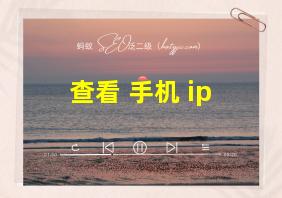 查看 手机 ip