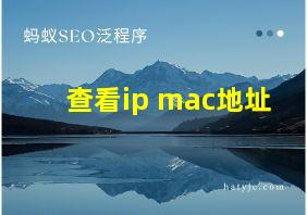 查看ip mac地址