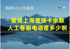 查询上海医保卡余额人工客服电话是多少啊