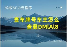 查车牌号车主怎么查冀DMlAl8