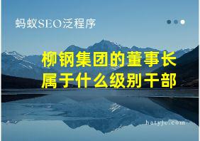 柳钢集团的董事长属于什么级别干部