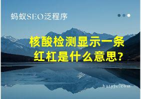 核酸检测显示一条红杠是什么意思?