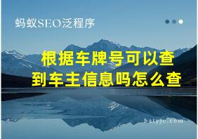 根据车牌号可以查到车主信息吗怎么查