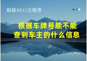 根据车牌号能不能查到车主的什么信息