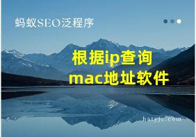 根据ip查询mac地址软件