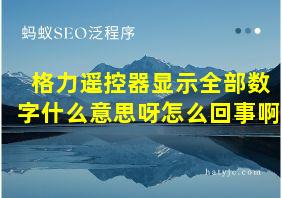 格力遥控器显示全部数字什么意思呀怎么回事啊