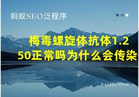 梅毒螺旋体抗体1.250正常吗为什么会传染