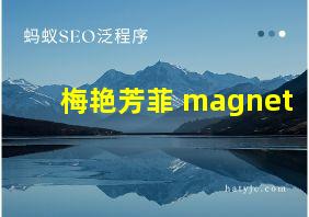 梅艳芳菲 magnet