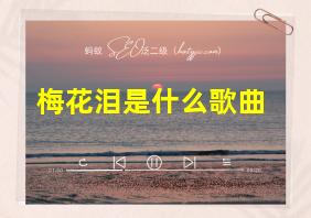 梅花泪是什么歌曲