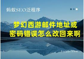 梦幻西游邮件地址或密码错误怎么改回来啊