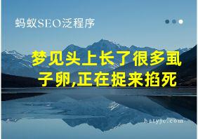 梦见头上长了很多虱子卵,正在捉来掐死