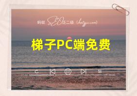 梯子PC端免费