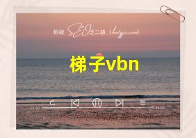 梯子vbn