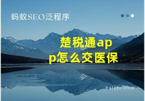 楚税通app怎么交医保