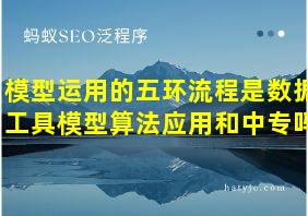 模型运用的五环流程是数据工具模型算法应用和中专吗