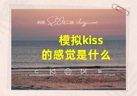 模拟kiss的感觉是什么