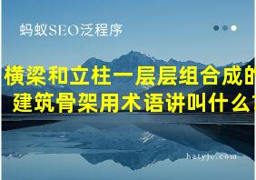 横梁和立柱一层层组合成的建筑骨架用术语讲叫什么?