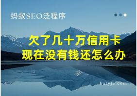 欠了几十万信用卡现在没有钱还怎么办