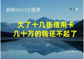 欠了十几张信用卡几十万的钱还不起了