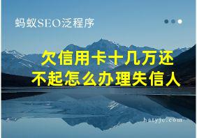 欠信用卡十几万还不起怎么办理失信人