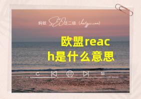 欧盟reach是什么意思