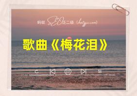 歌曲《梅花泪》