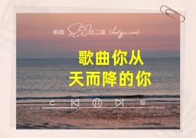 歌曲你从天而降的你