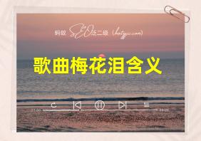 歌曲梅花泪含义