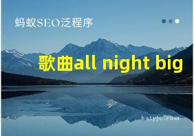 歌曲all night big