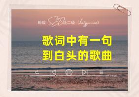 歌词中有一句到白头的歌曲