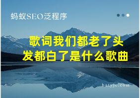 歌词我们都老了头发都白了是什么歌曲