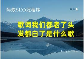 歌词我们都老了头发都白了是什么歌