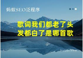 歌词我们都老了头发都白了是哪首歌