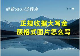 正规收据大写金额格式图片怎么写