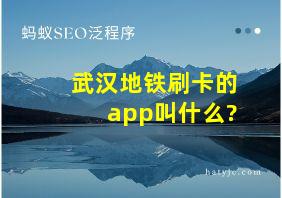 武汉地铁刷卡的app叫什么?