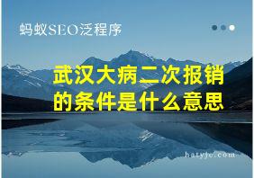 武汉大病二次报销的条件是什么意思