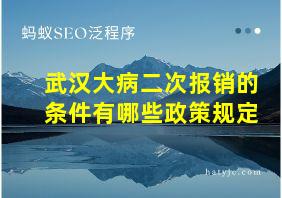 武汉大病二次报销的条件有哪些政策规定