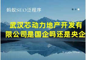 武汉芯动力地产开发有限公司是国企吗还是央企