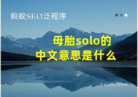 母胎solo的中文意思是什么