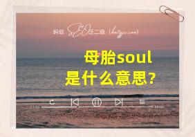 母胎soul是什么意思?