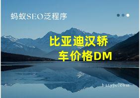 比亚迪汉轿车价格DM