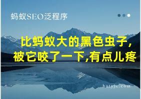 比蚂蚁大的黑色虫子,被它咬了一下,有点儿疼