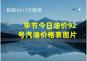 毕节今日油价92号汽油价格表图片