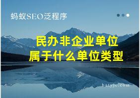 民办非企业单位属于什么单位类型