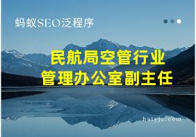 民航局空管行业管理办公室副主任