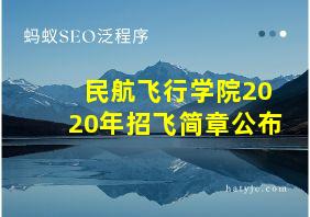 民航飞行学院2020年招飞简章公布