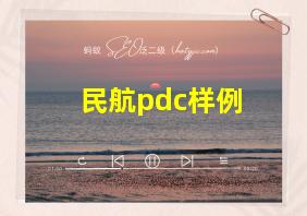 民航pdc样例