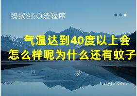 气温达到40度以上会怎么样呢为什么还有蚊子